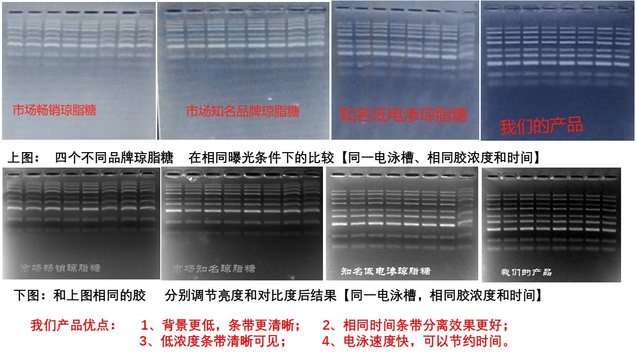 低电渗琼脂糖.jpg