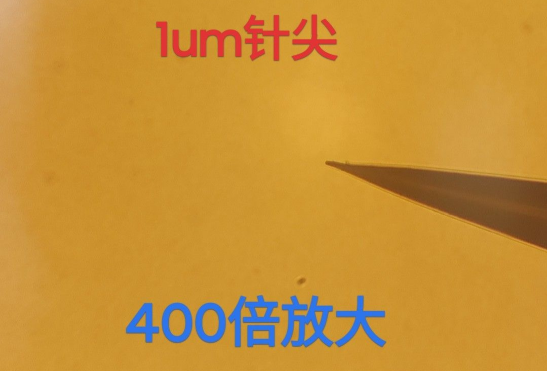 400倍放大.png