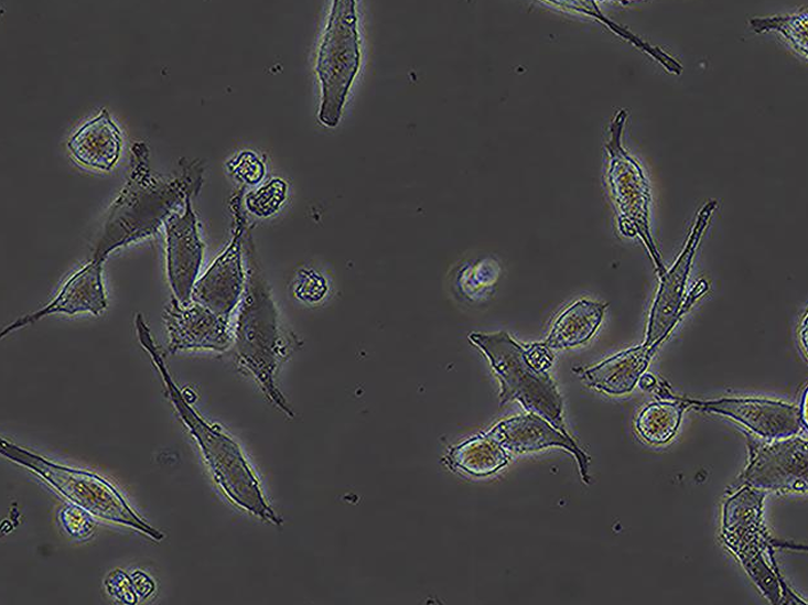 1773831858880912.png image.png