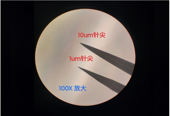 1785379666628424.jpg 解剖针针尖.jpg