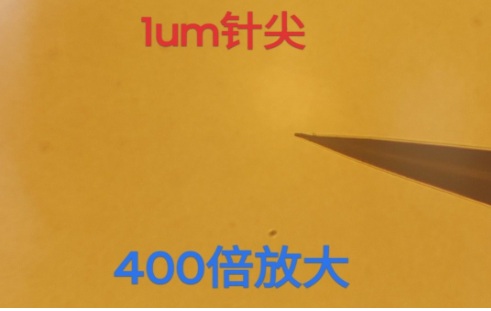 1785379711182710.jpg 1um针尖解剖针.jpg