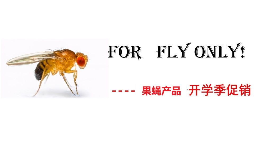 26年春季开学季促销----果蝇